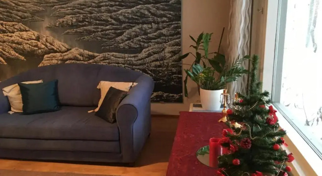 Arctic Circle Apartment