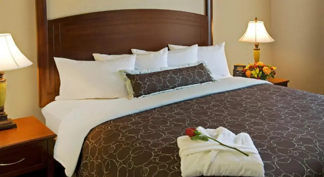 Люкс с 2 комнатами Staybridge Suites Oakville Burlington by IHG