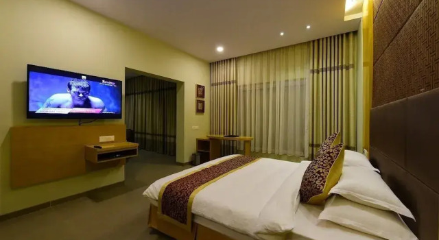 Люкс Deluxe Hotel H