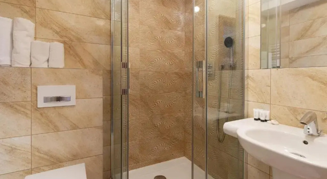 Номер Standard Hotel Olesno