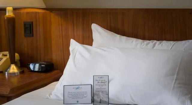 Одноместный номер Hotel Palace Guayaquil