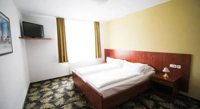 Двухместный номер Standard Hotel Der Tannenbaum