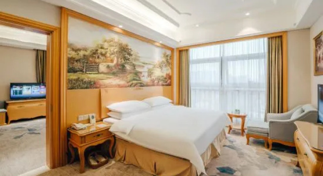 Люкс Business Vienna International Hotel (Leshan High-speed Railway Station)