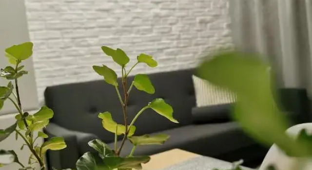 Апартаменты Apartament SI Bella