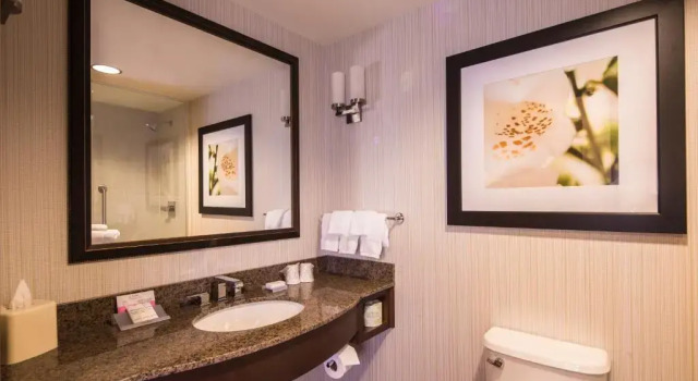 Номер Premium Hilton Garden Inn Uniontown