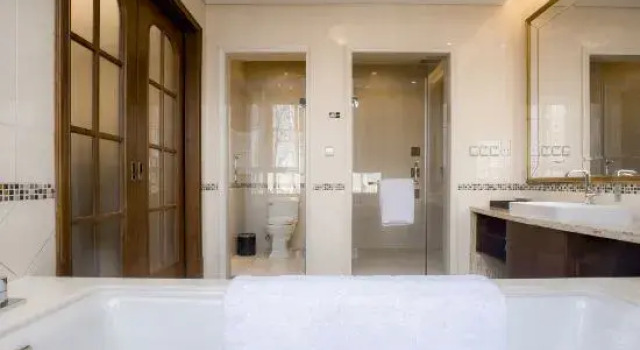 Suite Executive Avanna Hotel