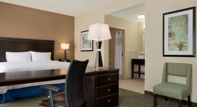 Одноместный люкс Hampton Inn and Suites Parkersburg Downtown