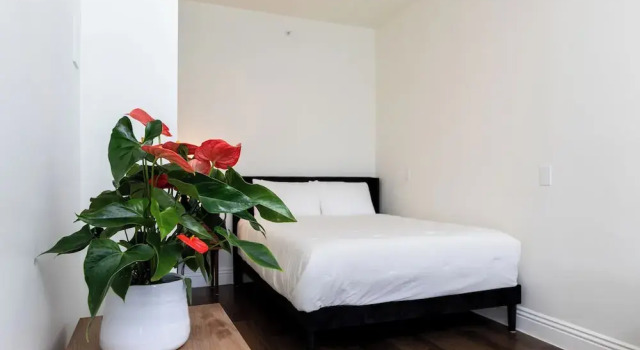 Люкс Classic The Nirvana Apartment Hotel