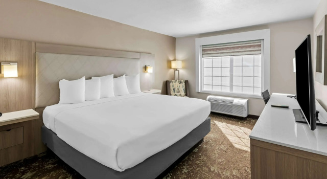 Двухместный номер Best Western Worlds Of Fun