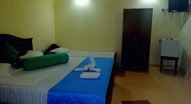 Номер Deluxe Hotel Lion Nature