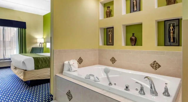 Люкс c 1 комнатой Comfort Inn Athens I - 75