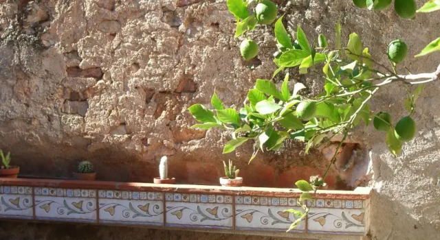 Коттедж с 4 комнатами Casa Rural Avi Ramon