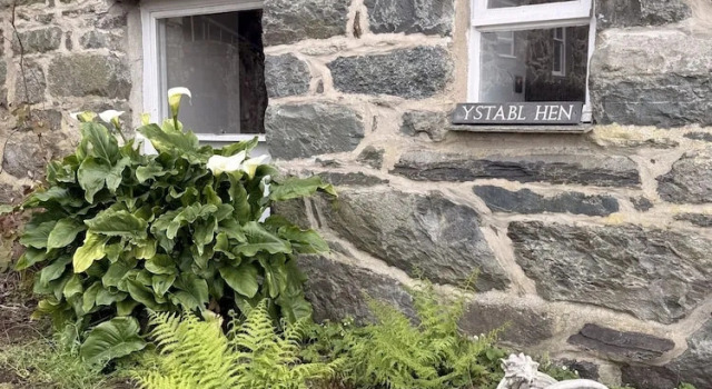 Коттедж Maes Y Neuadd Country House