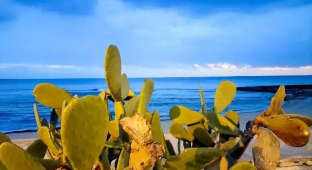 Коттедж Casetta di paese