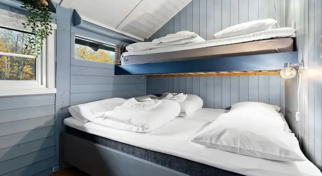 Deluxe Apartment First Camp Gol Hallingdal