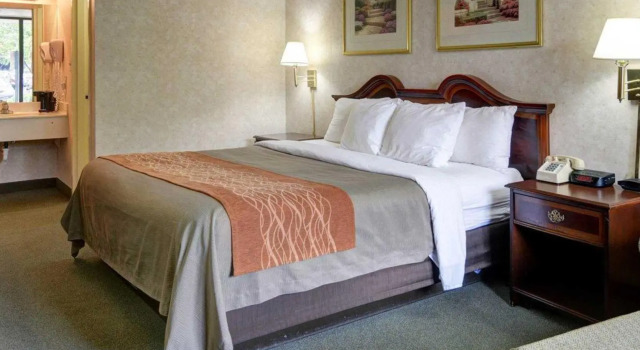 Номер Standard Quality Inn Vienna - Tysons Corner