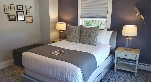 Люкс Little Fig Hotel