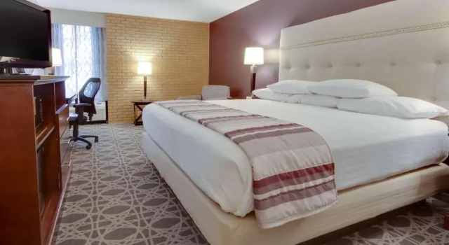 Номер Superior Drury Inn & Suites Kansas City Overland Park