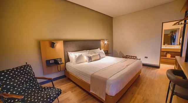 Двухместный номер Superior с видом на город HOTEL CASA ARANZAZU SAN LUIS POTOSI
