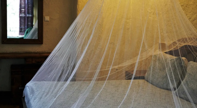 Tryst Boutique Hotel, Book Boutique Boutique Hotels in Bole, Boutique
