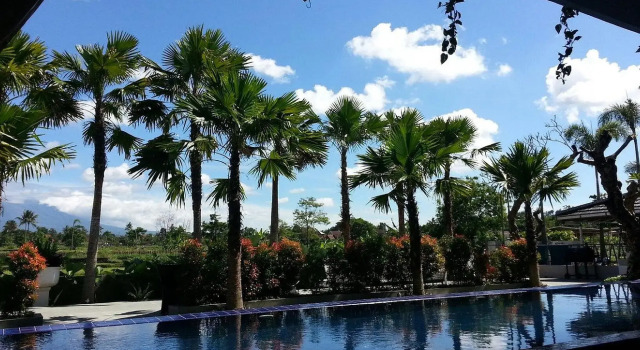Sawah Joglo Boutique Villas & Resort, Book Resort Resort Hotels in Sleman, Resort