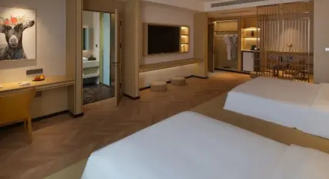 Люкс Premier Junyang Hotel (Aksu Railway Station Old Street Night Market)