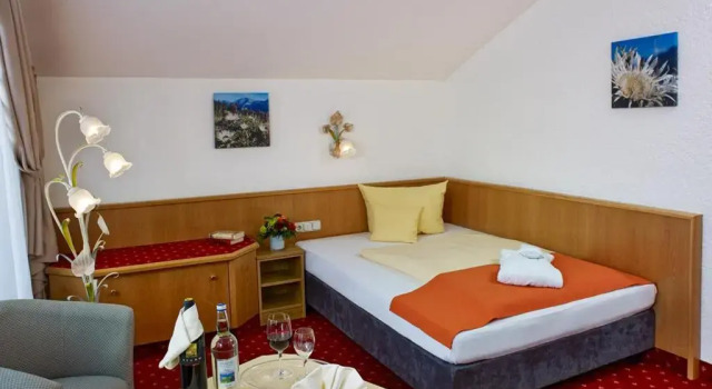 Camera singola Standard Hotel Tyrol