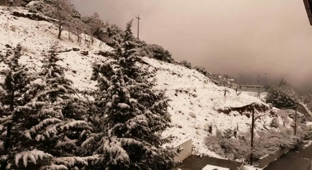 Двухместный номер Back View Standard Anemolia Mountain Resort