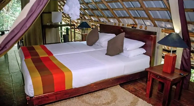 Номер Standard Clio Ella Resort