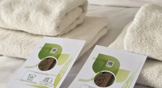 Номер Economy Kumkat Hotel