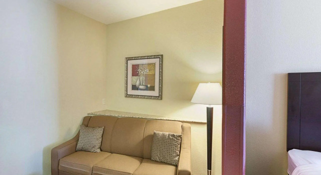 Четырёхместный люкс Comfort Suites Medical Center near Six Flags