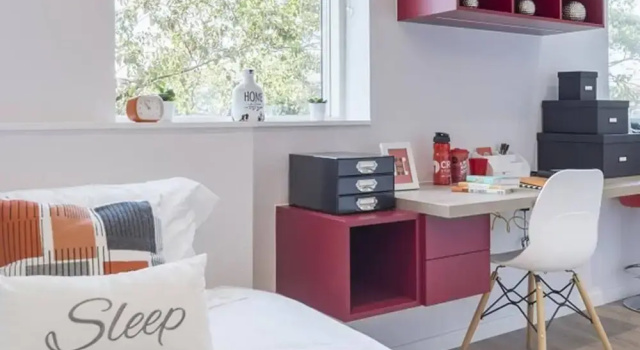 Beautiful Studio In Kingston Area