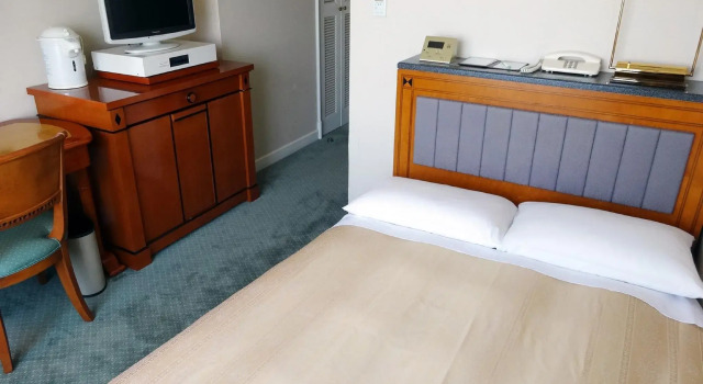 Одноместный номер Business Hotel East 21 Tokyo