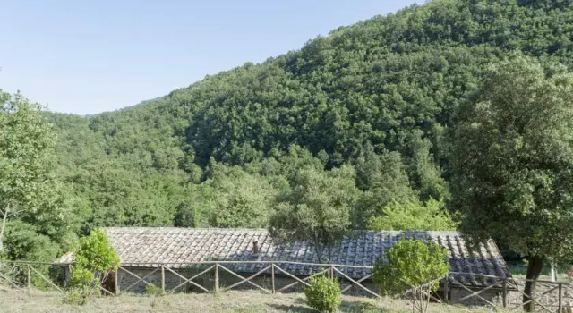 Fattoria Vignanova, Réserver Auberge Gerfalco Toscane