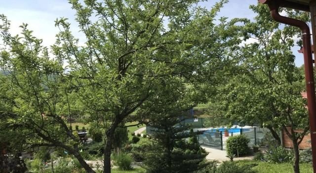 San - With Pool - A1, Đặt Nhà nghỉ dưỡng Nhà tranh ở Karlovac county, Nhà tranh