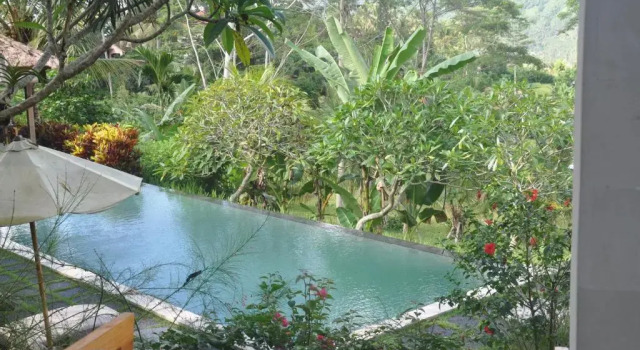 Номер Deluxe Villa Shantiasa Bali