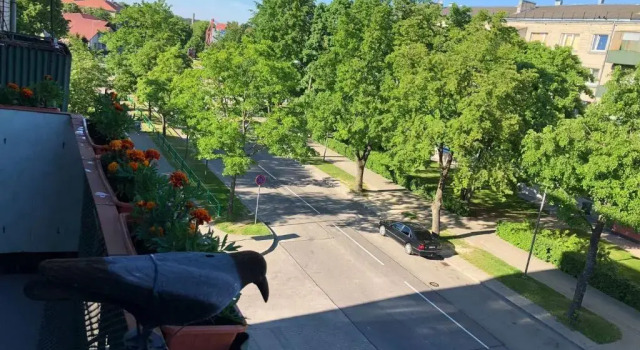 Апартаменты Las Palomas