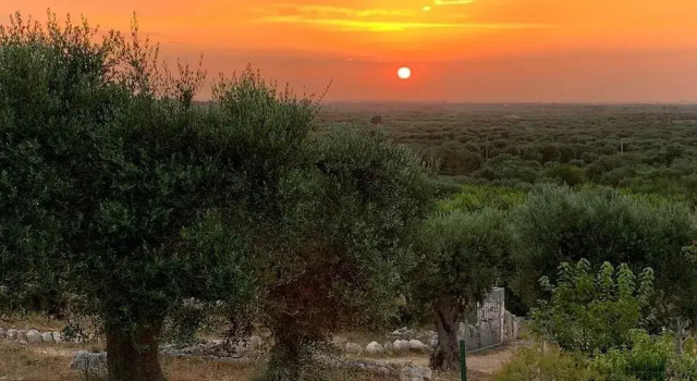 Agriturismo Monte Adamo