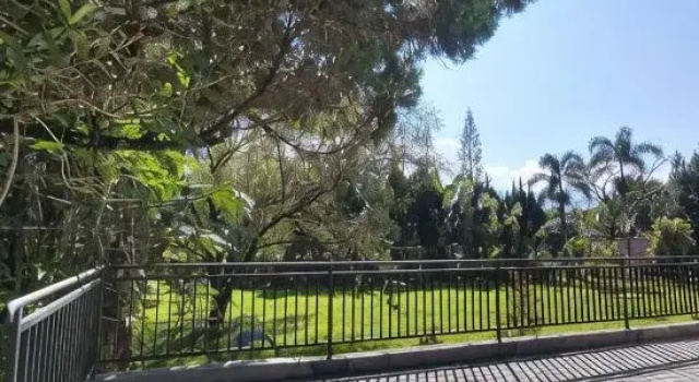 Bonarindo Resort