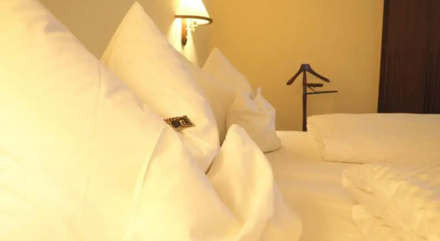 Двухместный номер Comfort Heidehotel Lubast