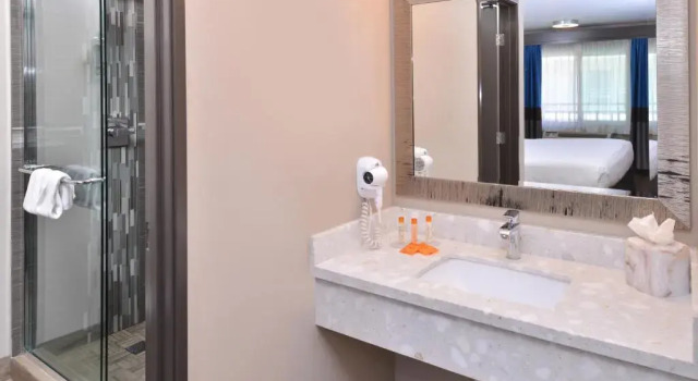 Номер Deluxe Tarzana Inn
