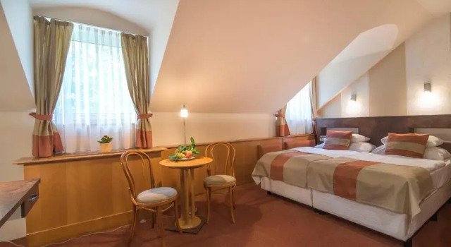 Двухместный номер Economy Мансарда Hotel Spa Hévíz
