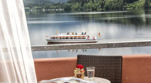Одноместный номер Standard с балконом Maritim Titisee Hotel