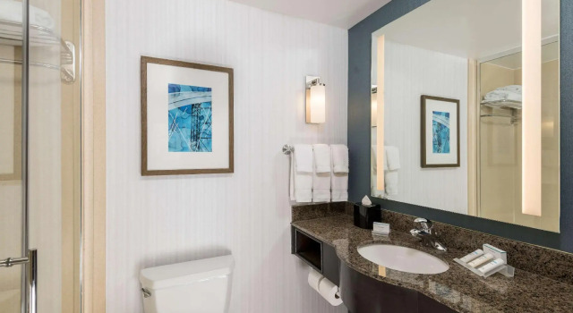 Двухместный номер Standard Hilton Garden Inn Silver Spring White Oak