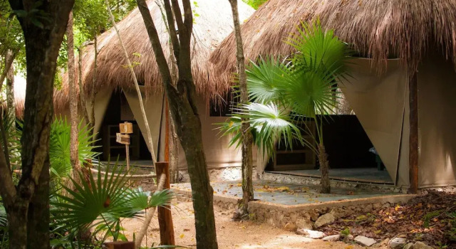 Номер Standard Akumal Natura Glamping