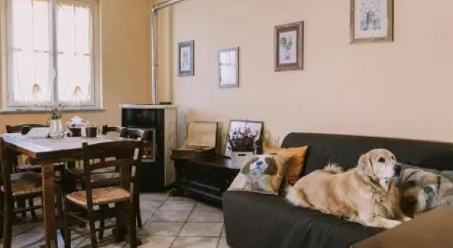 Pet and Breakfast