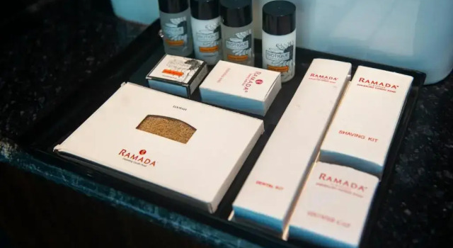 Номер Standard Ramada by Wyndham Gangtok Hotel & Casino Golden