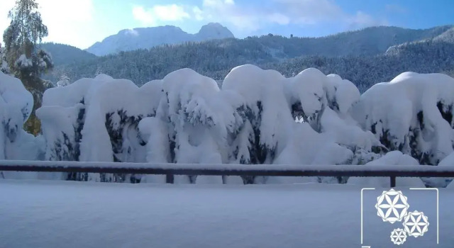 Люкс Zakopane Willa