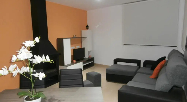 Апартаменты Superior Apartament Bagà