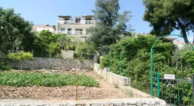 Apartments Marta